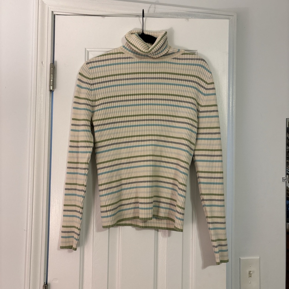 GAP Multicolor Striped Turtleneck Sweater